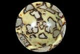 Polished Septarian Bowl - Madagascar #95121-2